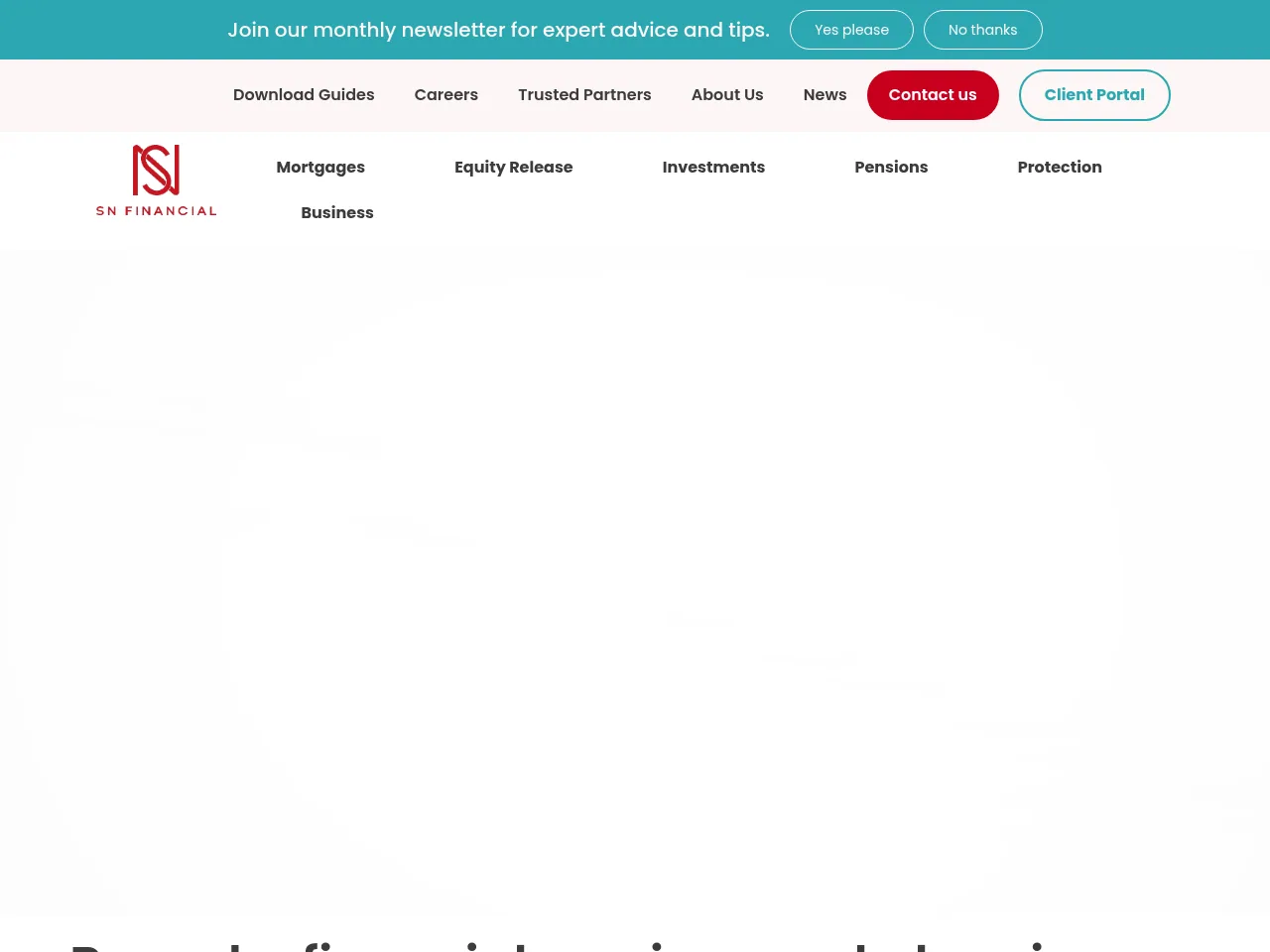 SN Financial website preview