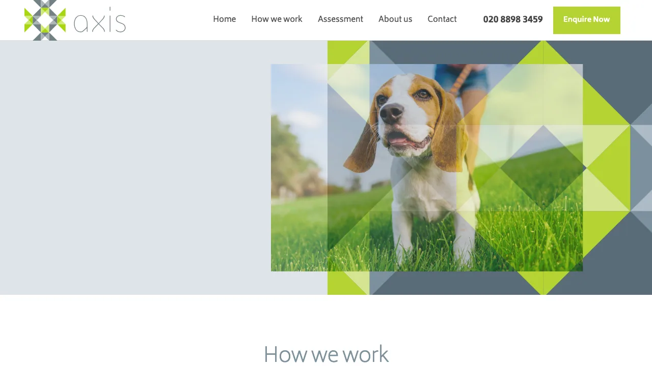Axis Commercial Finance website preview