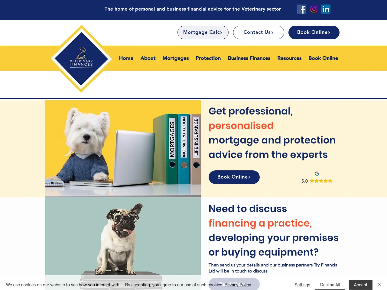 Veterinary Finances website preview