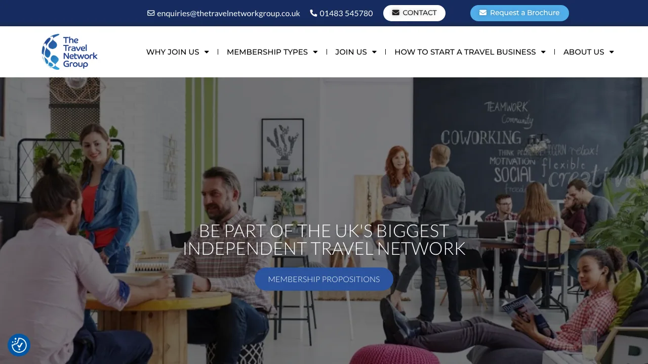 The Travel Network Group website preview