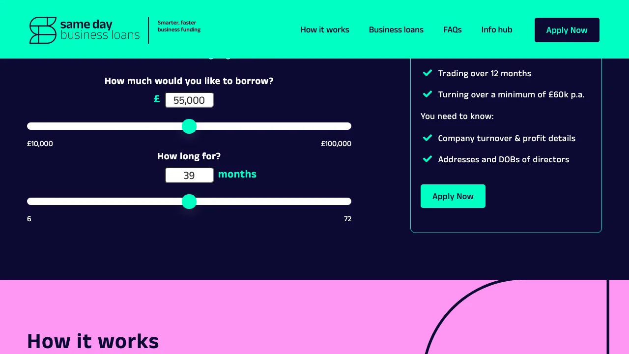 Same Day Business Loans website preview