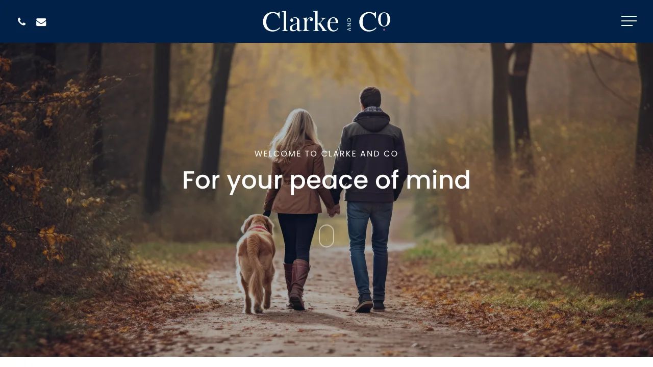 Clarke and Co website preview