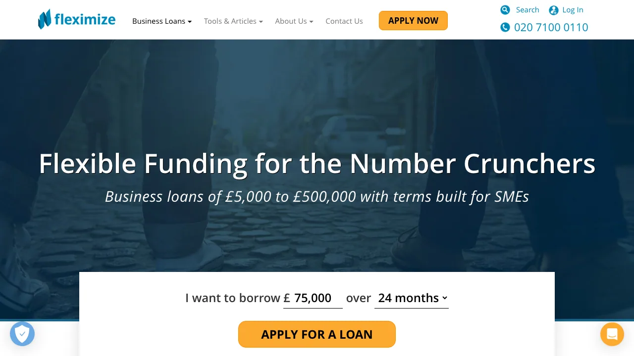 Fleximize website preview