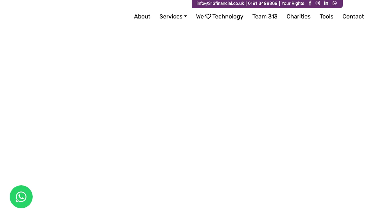 313 Financial Ltd website preview