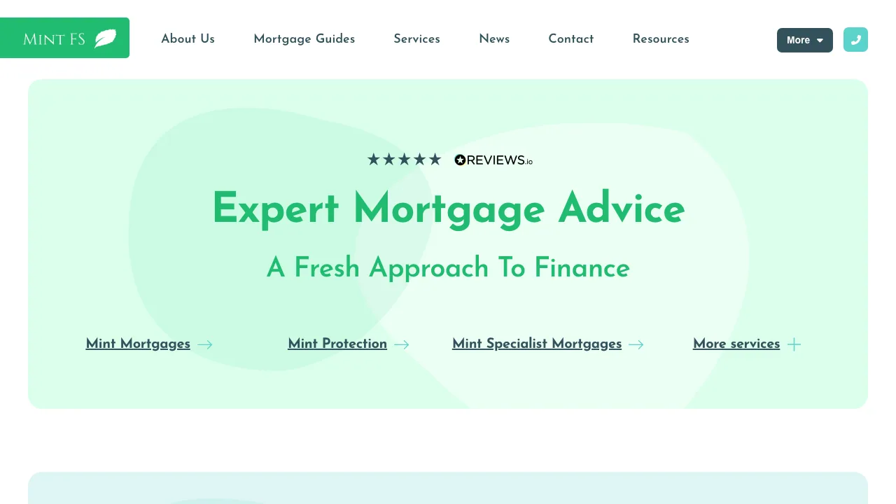 Mint FS website preview