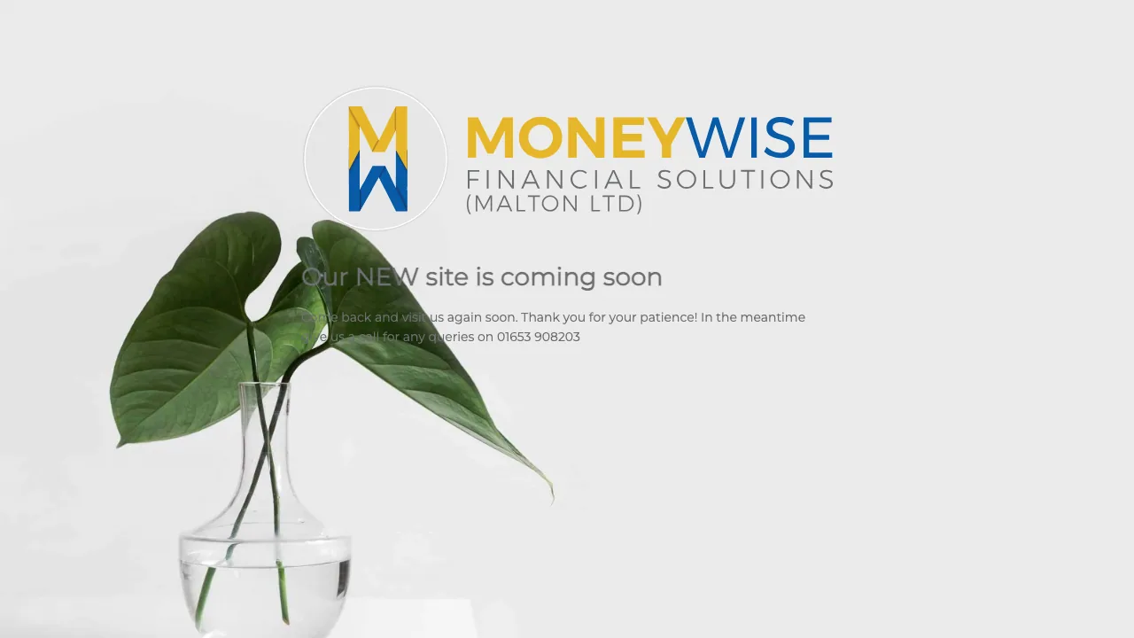 Moneywise Financial Solutions website preview