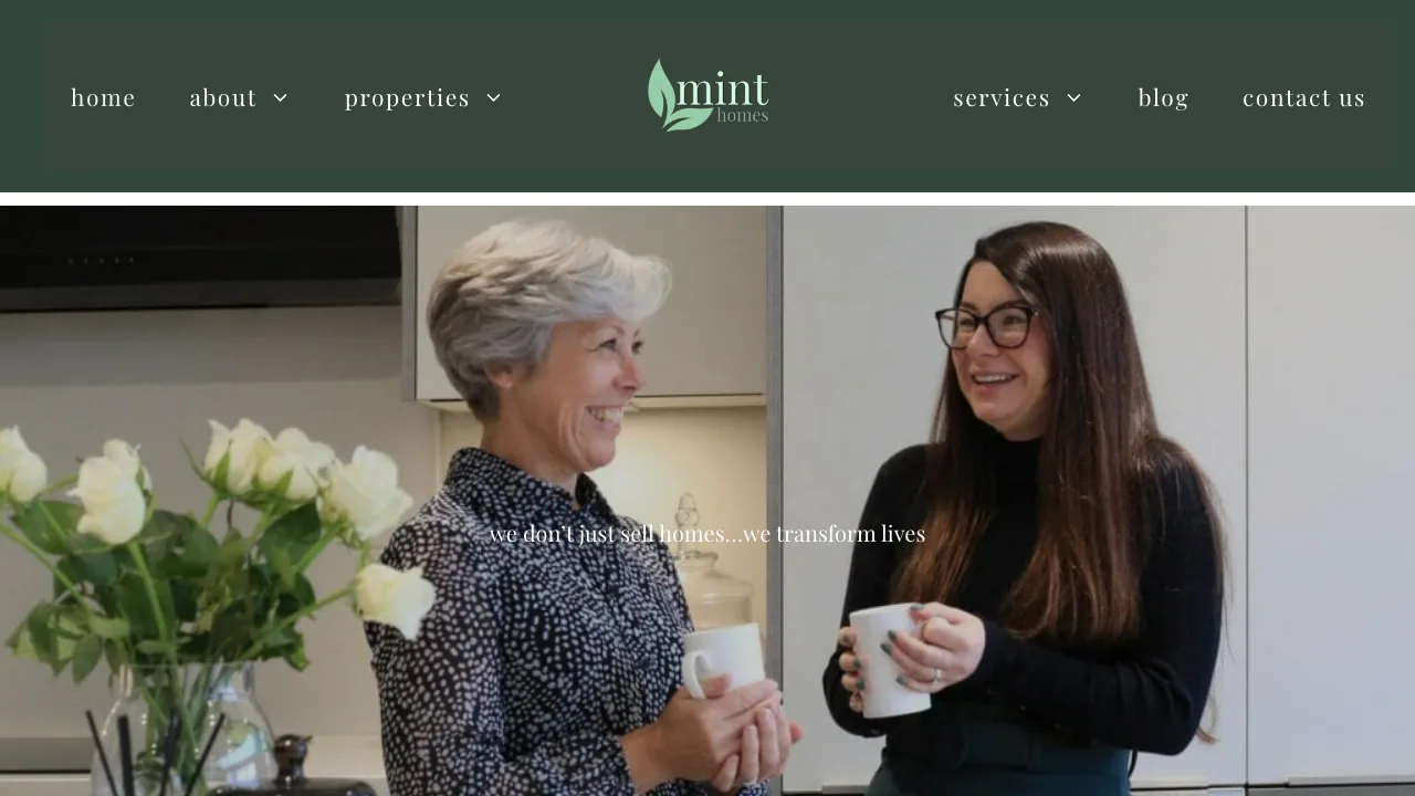 mint homes website preview