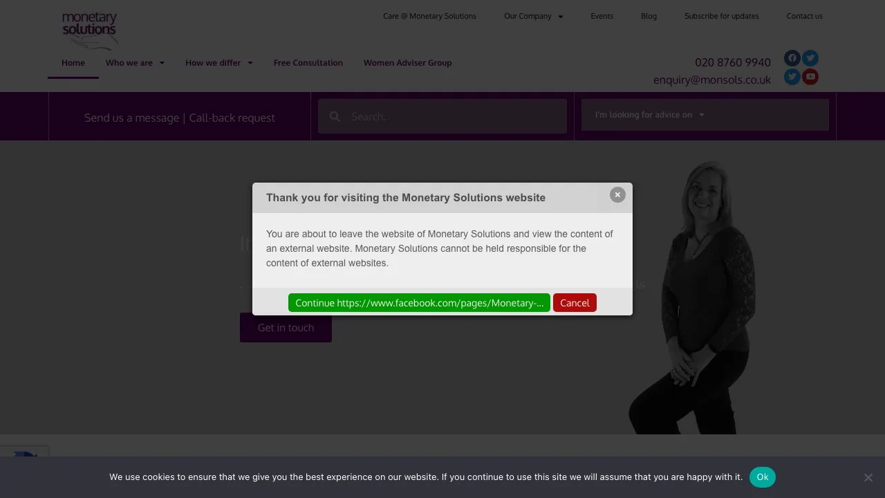 Monetary Solutions website preview
