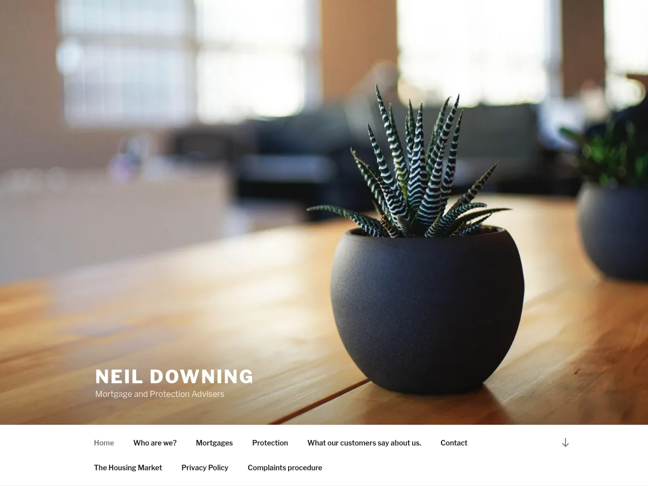 Neil Downing website preview