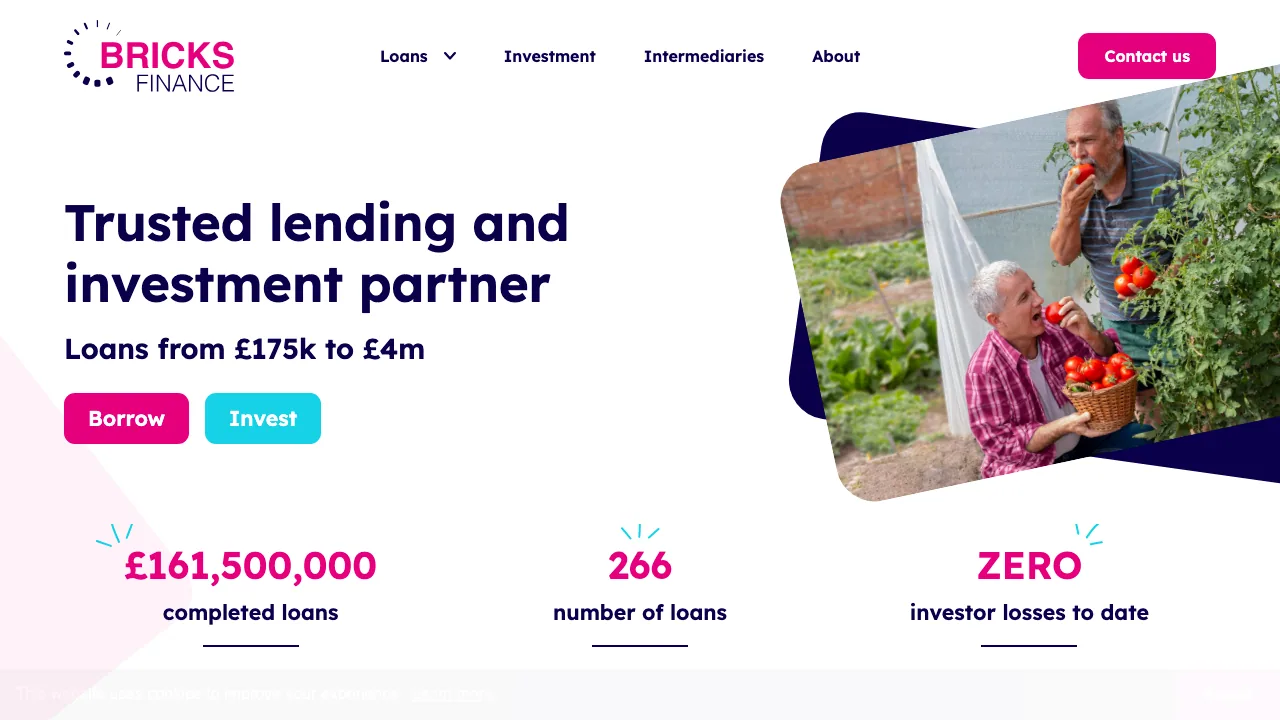 Bricks Finance Ltd website preview