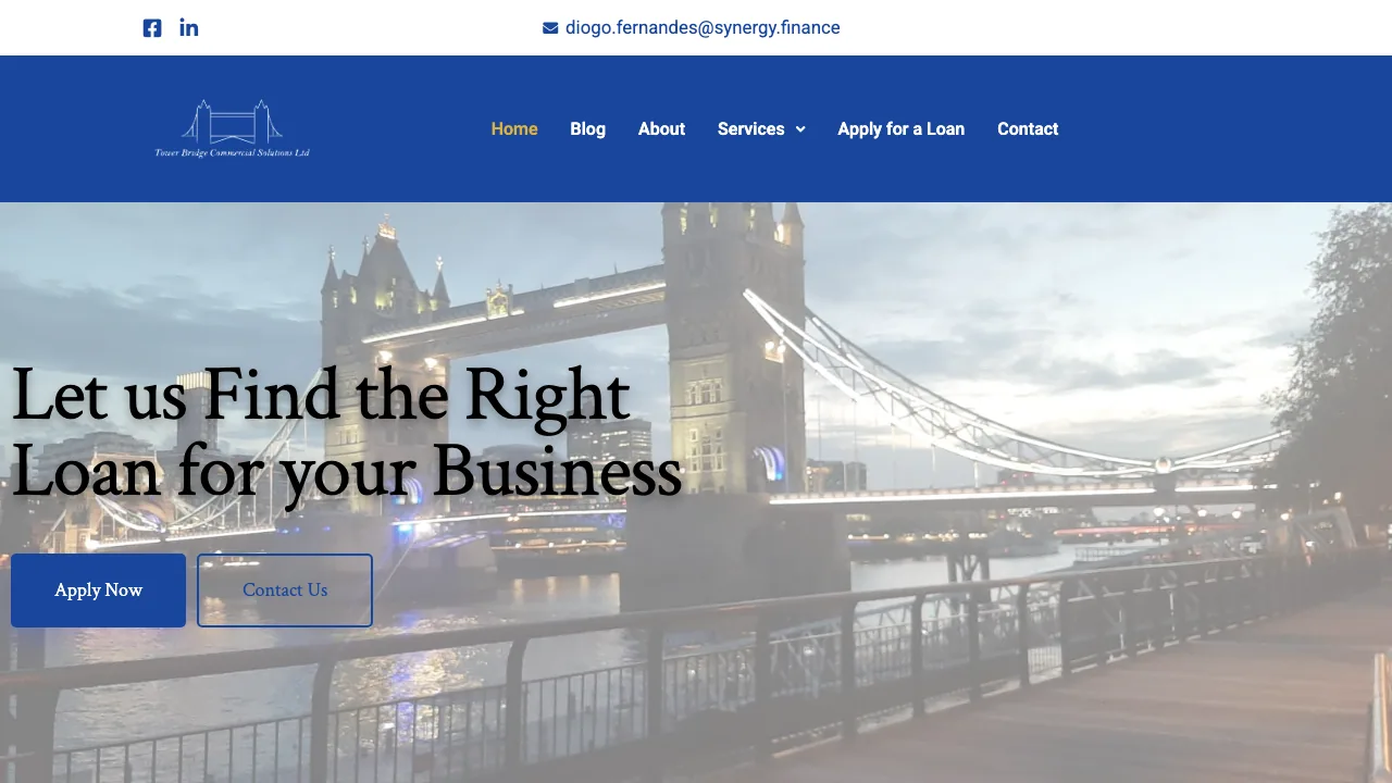 Business Loans Guidance website preview
