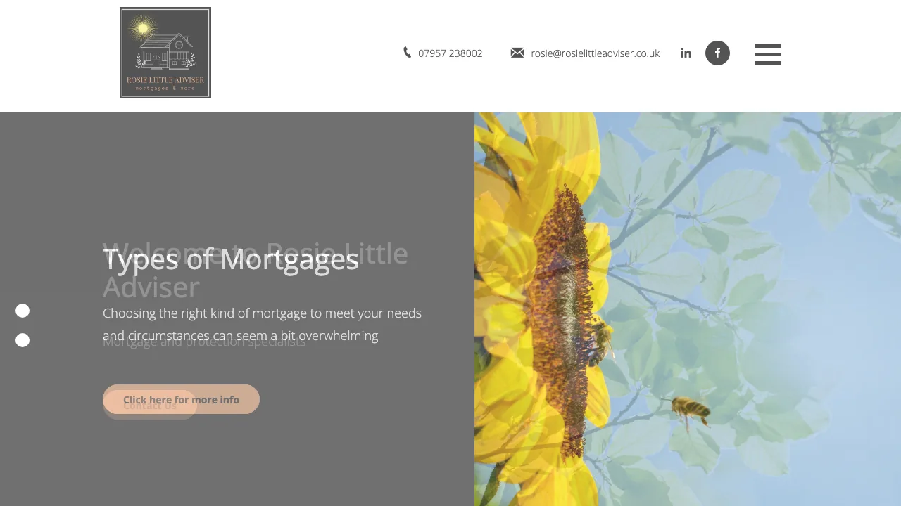 Rosie Little Adviser website preview
