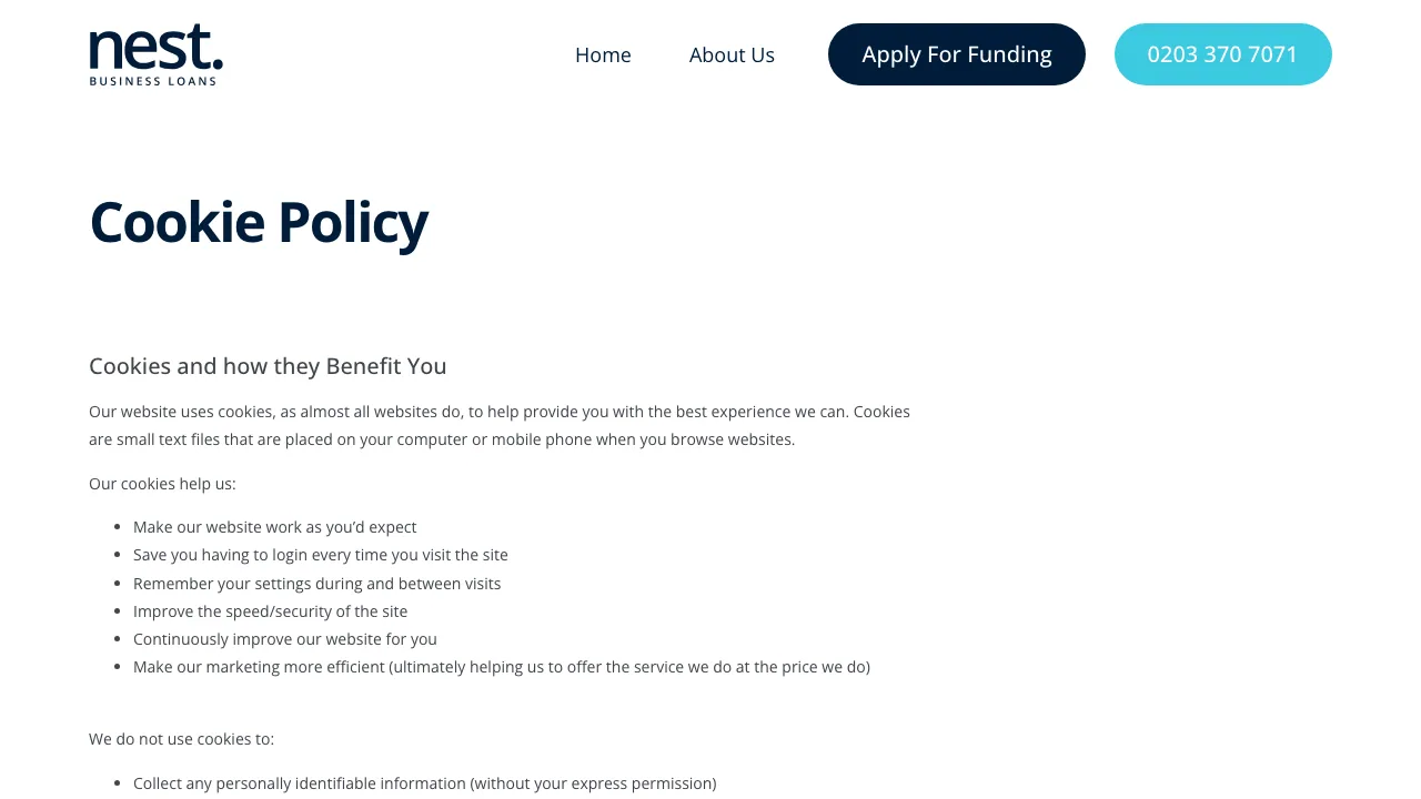 Nest Business Loans website preview