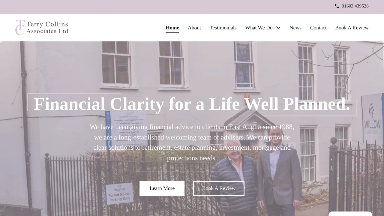 Terry Collins Associates website preview