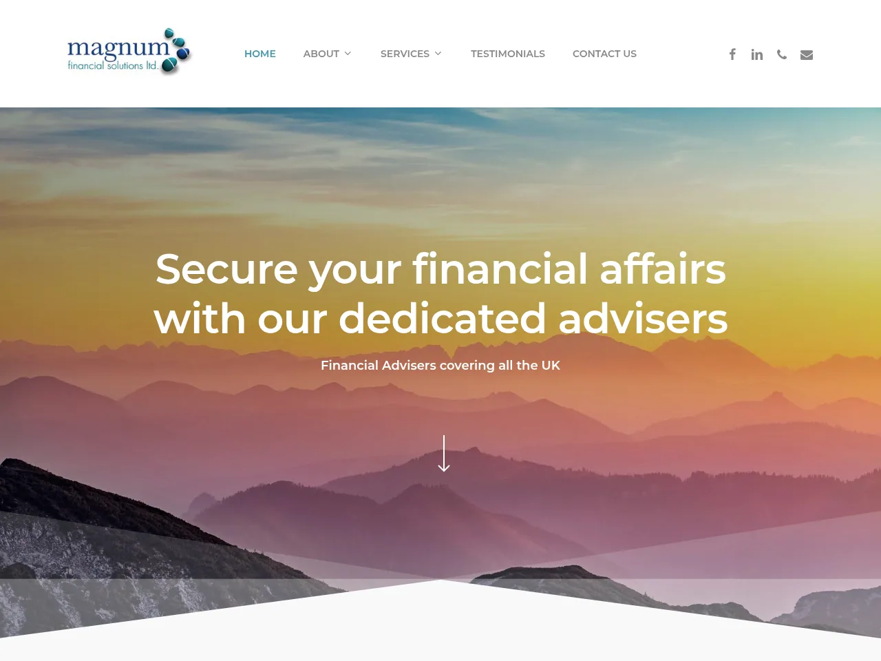 Magnum Financial website preview