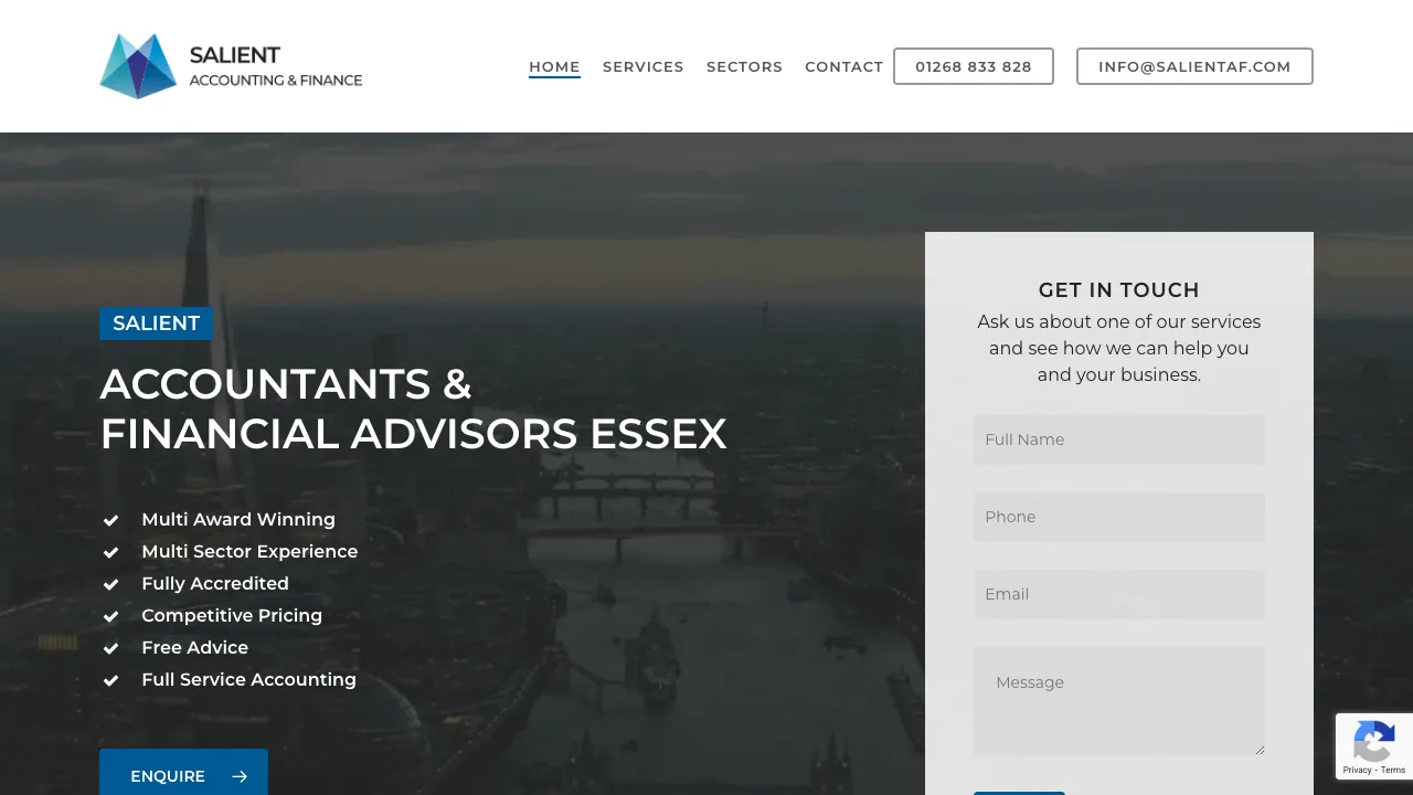 Salient Accounting & Finance website preview