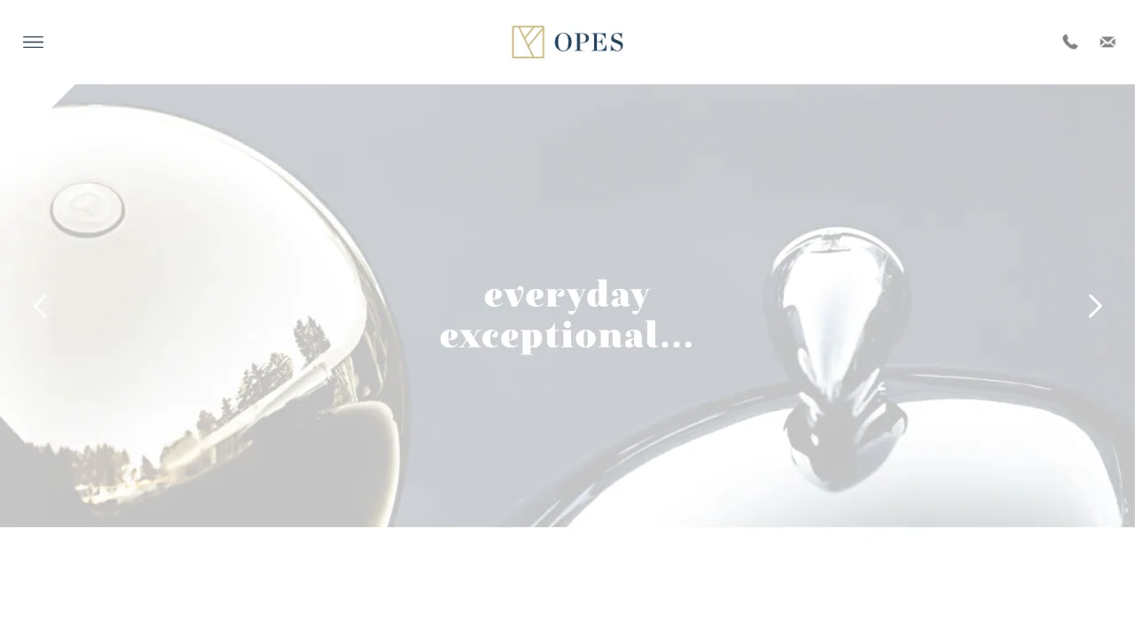 Opes Financial Partners website preview