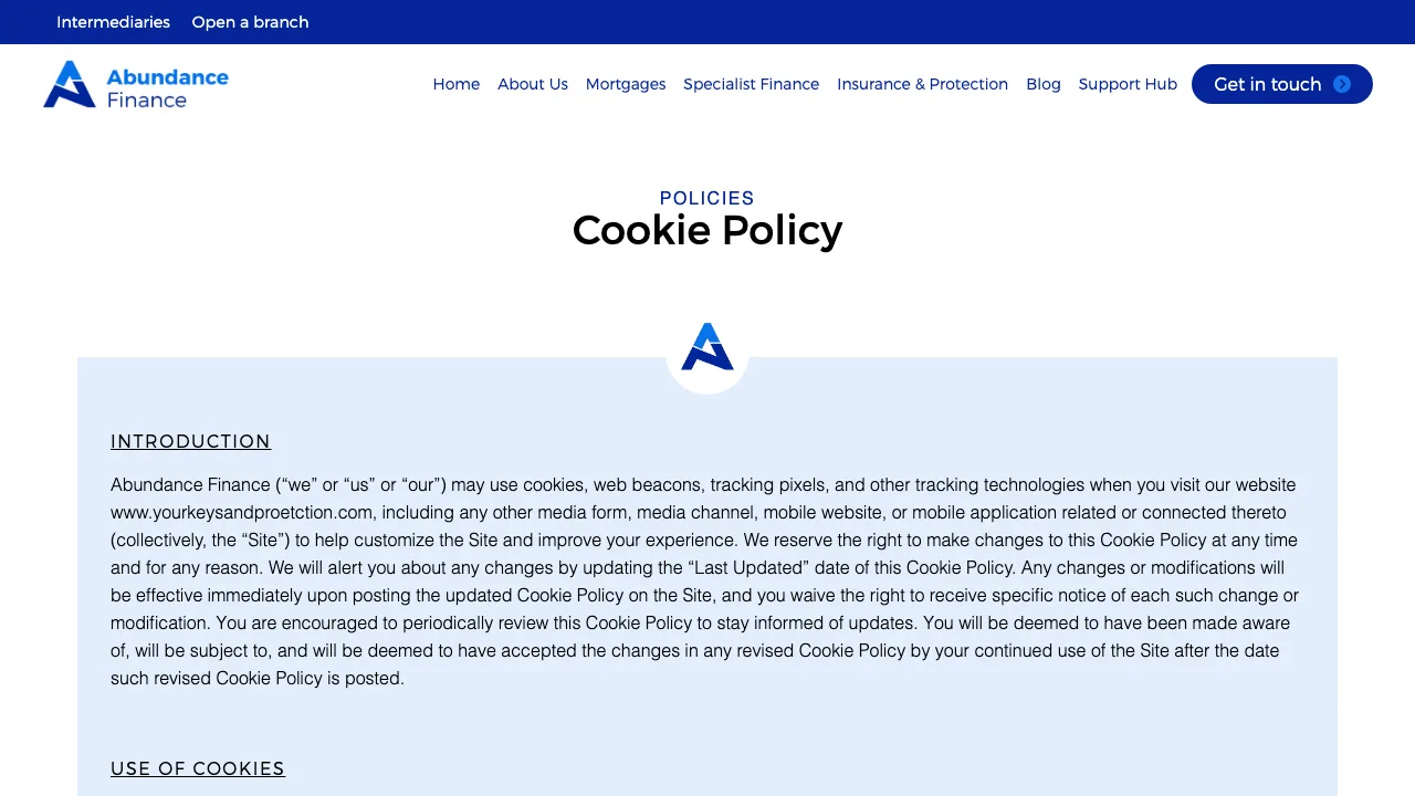Abundance Finance website preview