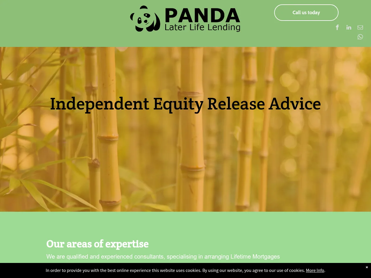 Panda Later Life Lending website preview