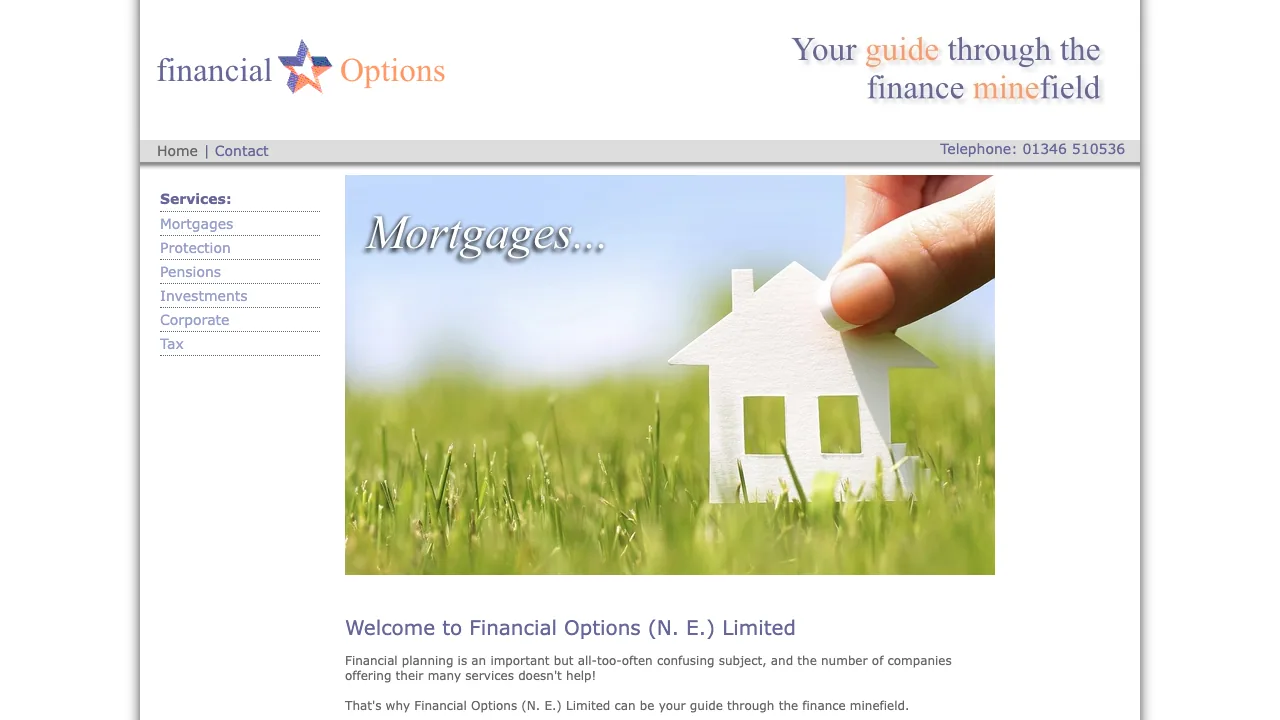 Financial Options Ltd website preview