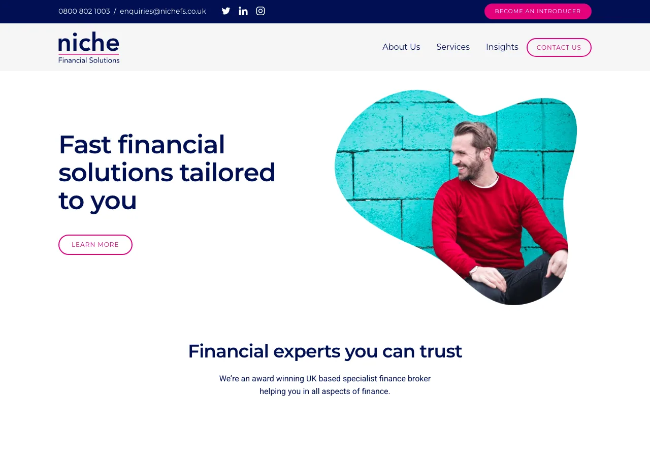 Niche Financial website preview
