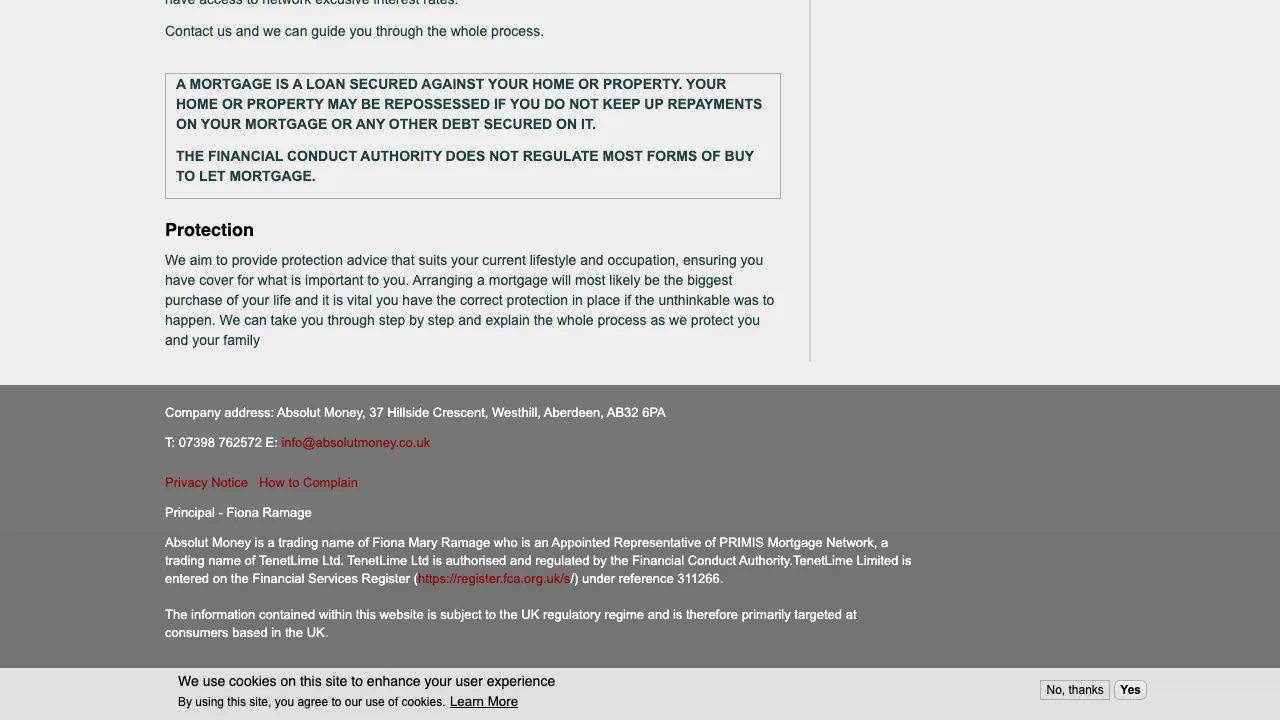 Absolut Money website preview