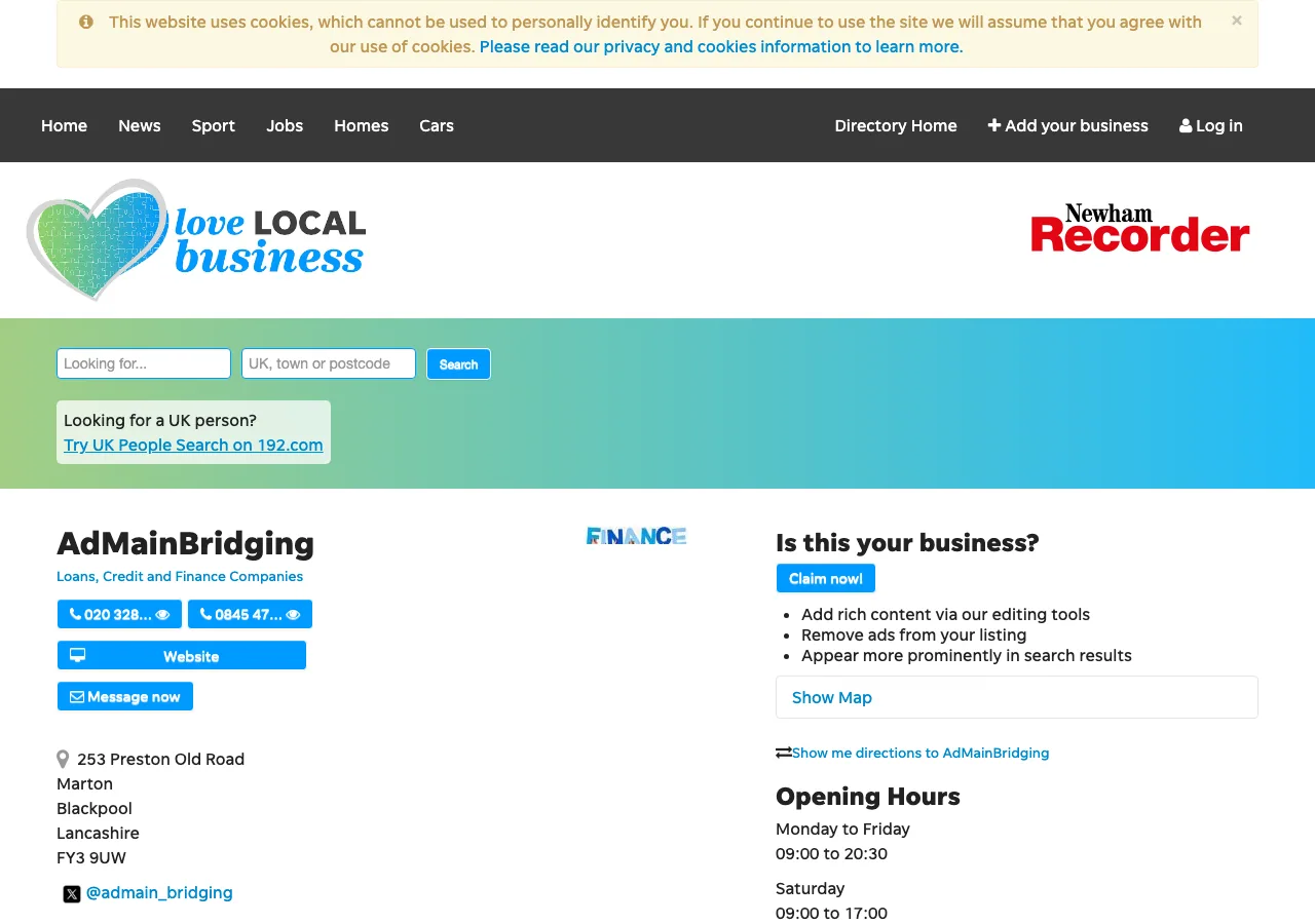 AdMainBridging website preview