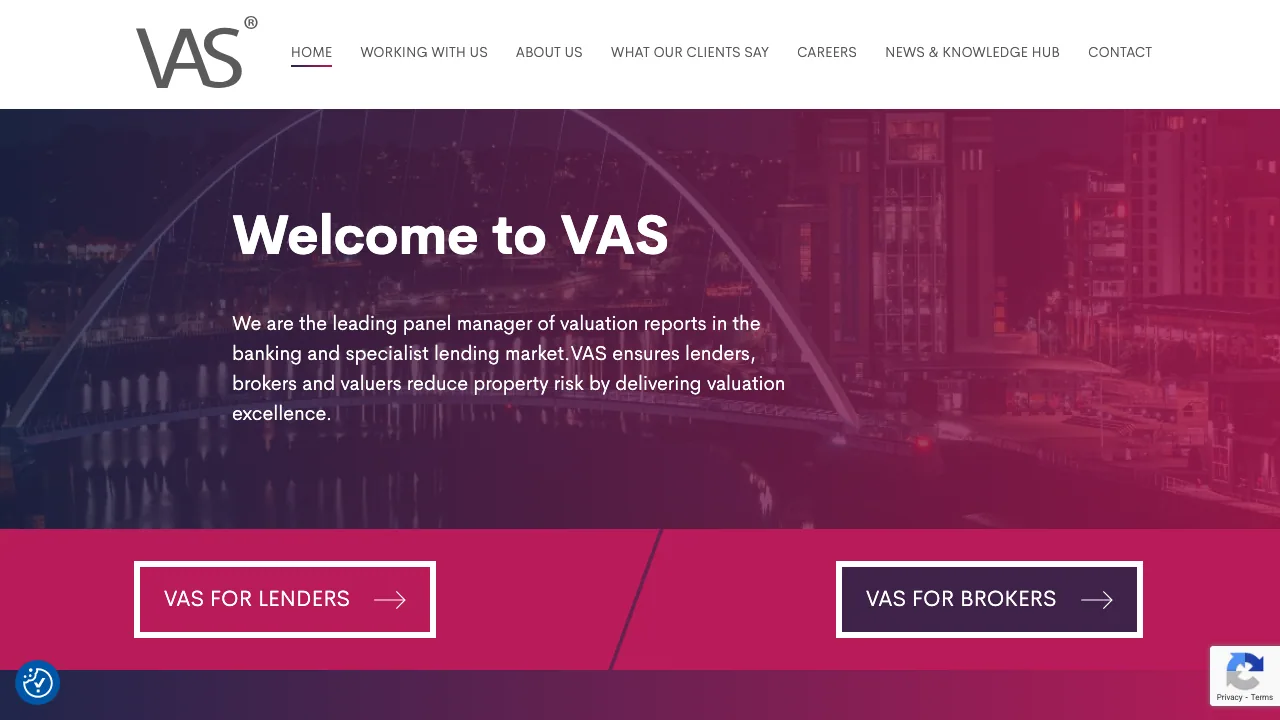 VAS website preview