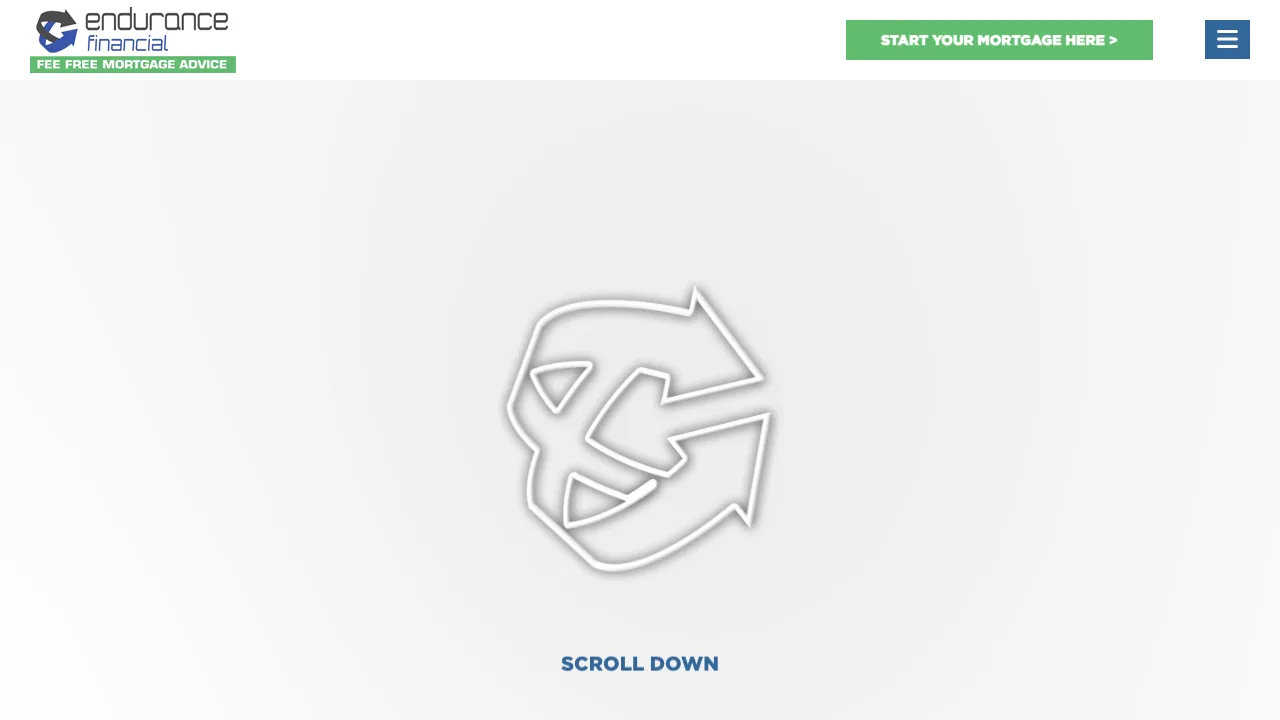 Endurance Financial Limited website preview