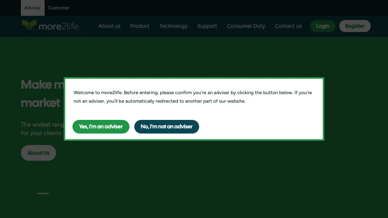 more2life website preview