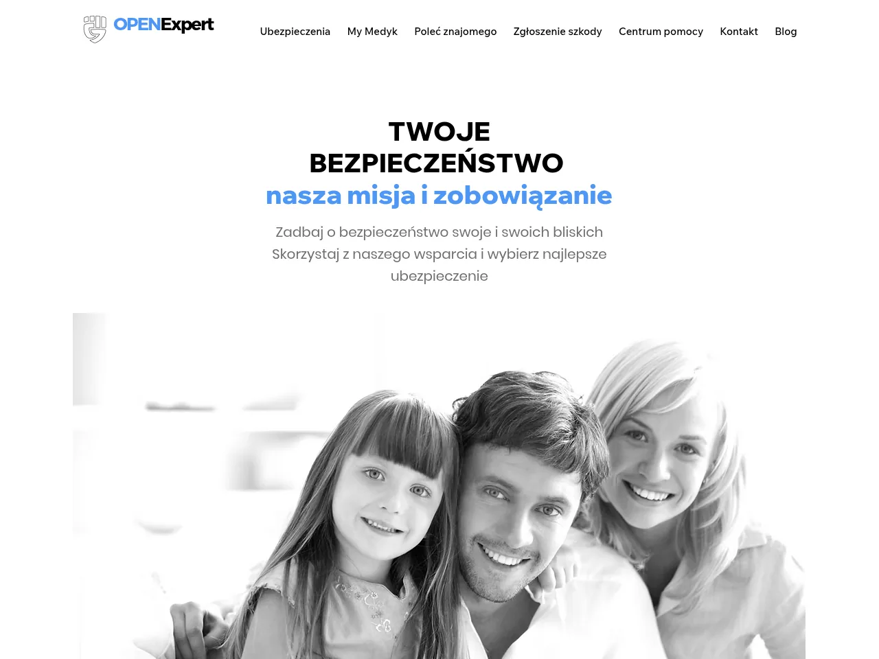 OpenExpert website preview