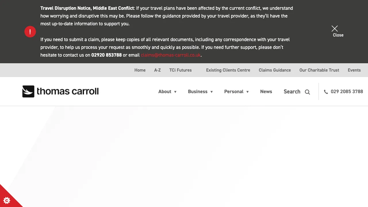 Thomas Carroll Group PLC website preview