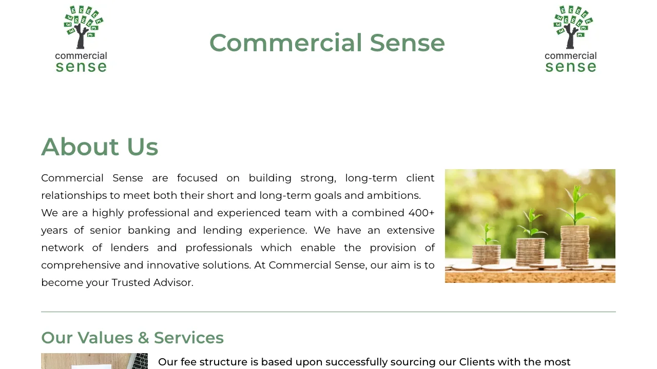 Commercial Sense Ltd. website preview