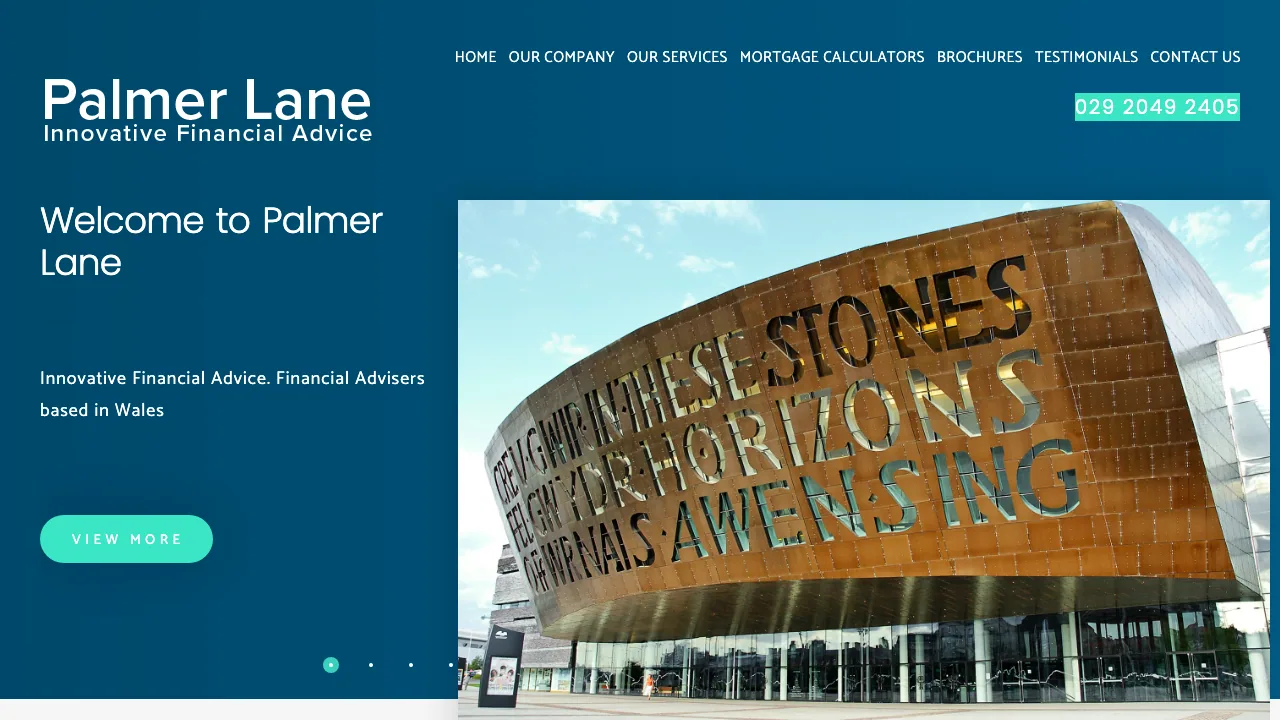 Palmer Lane website preview
