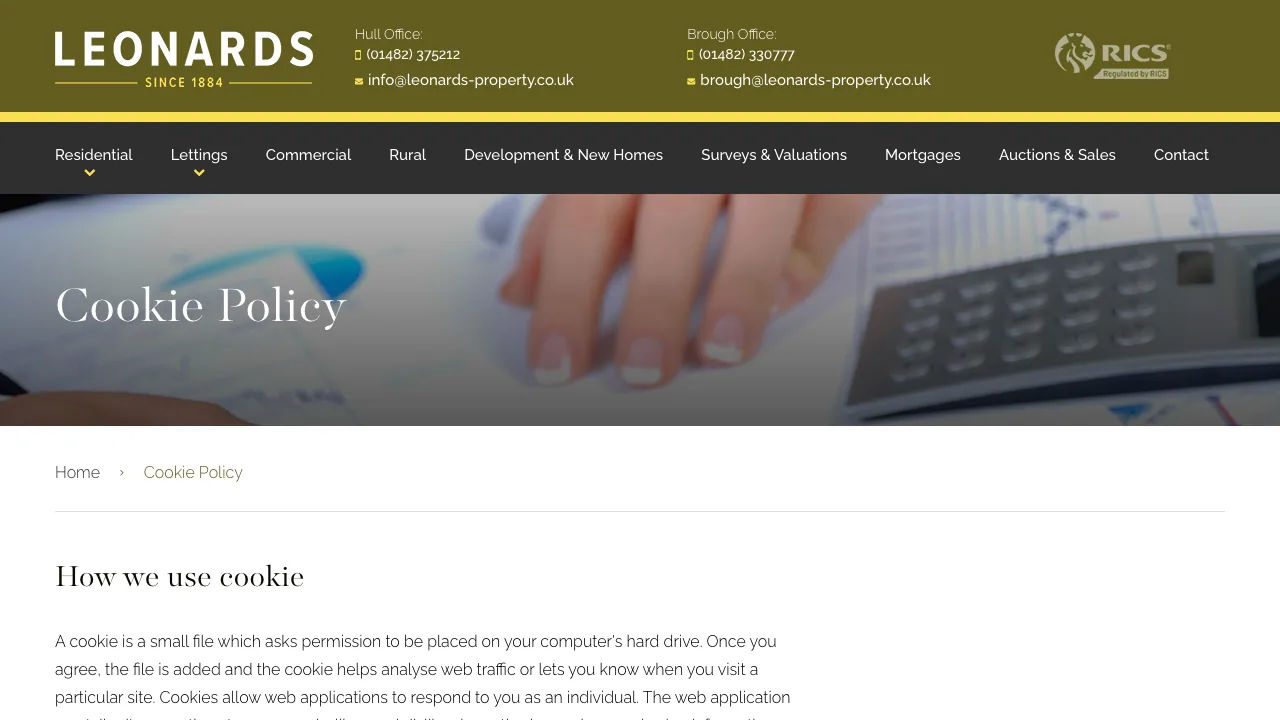 Leonards website preview