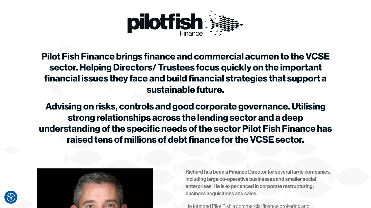 Pilot Fish website preview