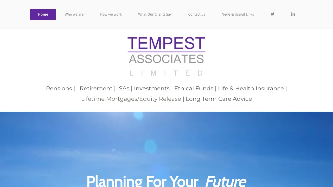 Tempest Associates Ltd website preview