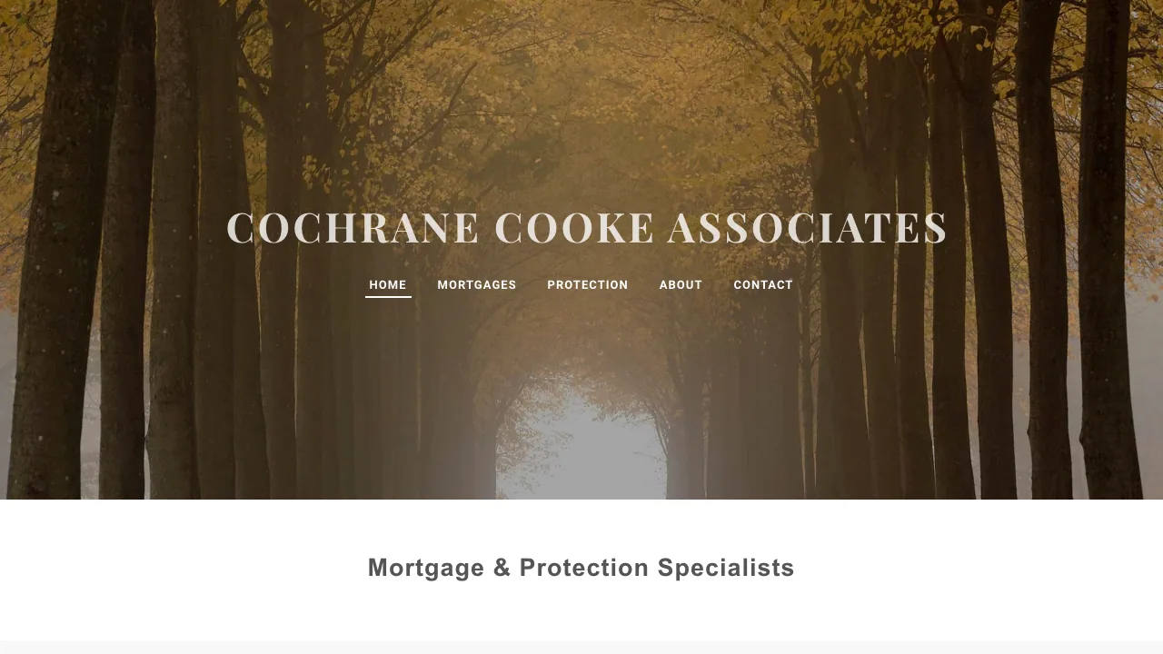 COCHRANE COOKE ASSOCIATES website preview