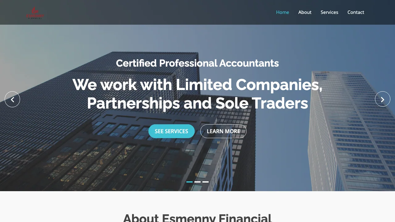 Esmenny Financial website preview