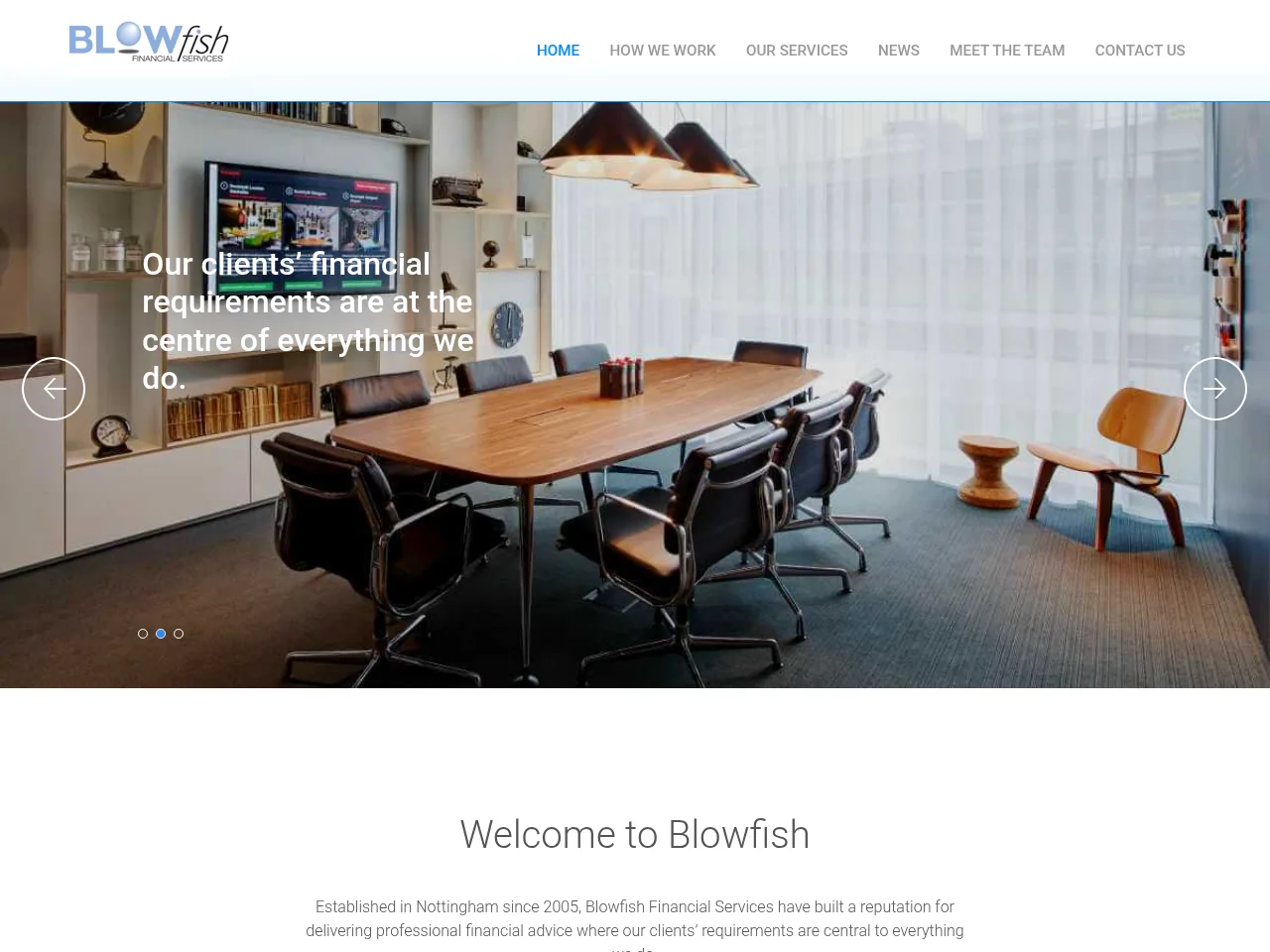 Blowfish Financial Services website preview