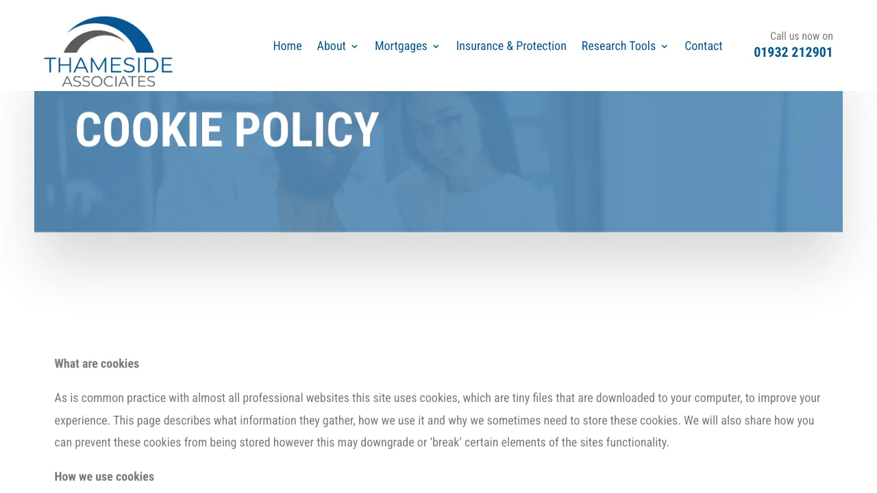 Suzi Banister - Thameside Associates Limited website preview