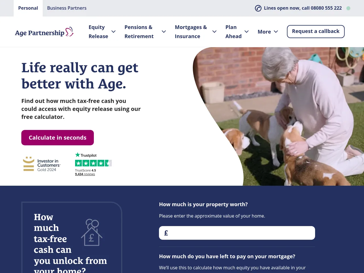Age Partnership website preview
