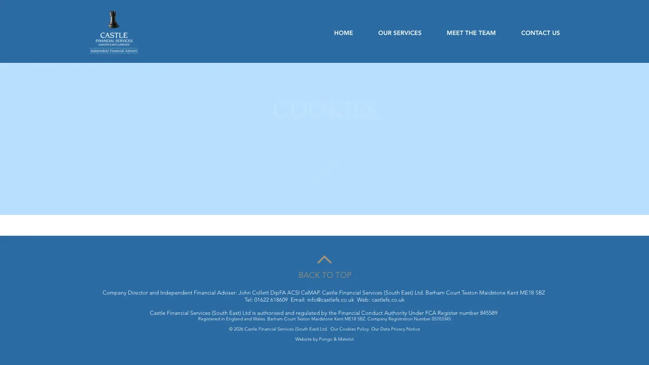 Castle Financial Services (South East) Limited website preview