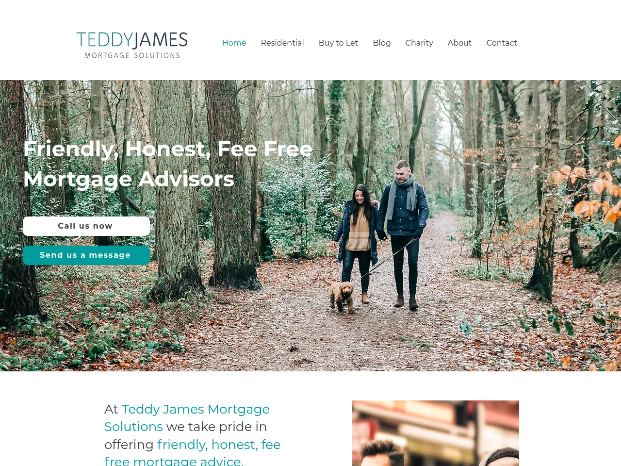 Teddy James Mortgage Solutions website preview