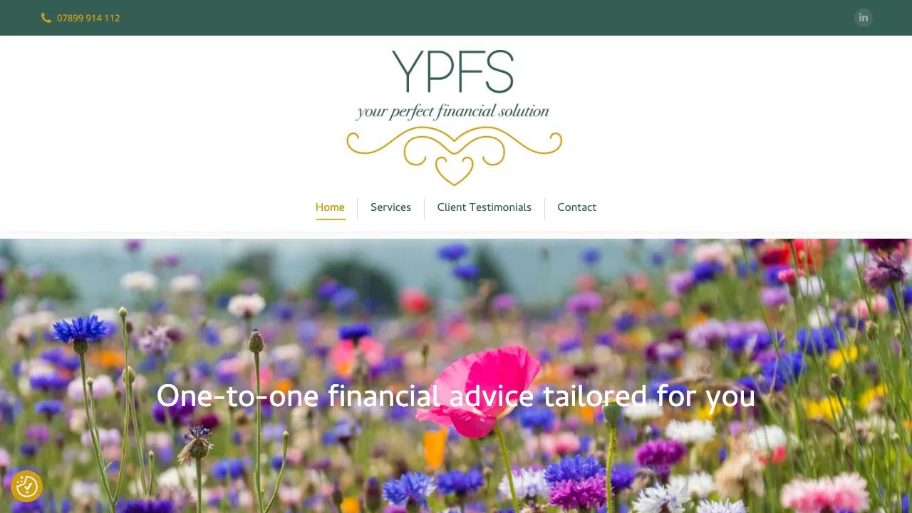 Your Perfect Financial Solution website preview