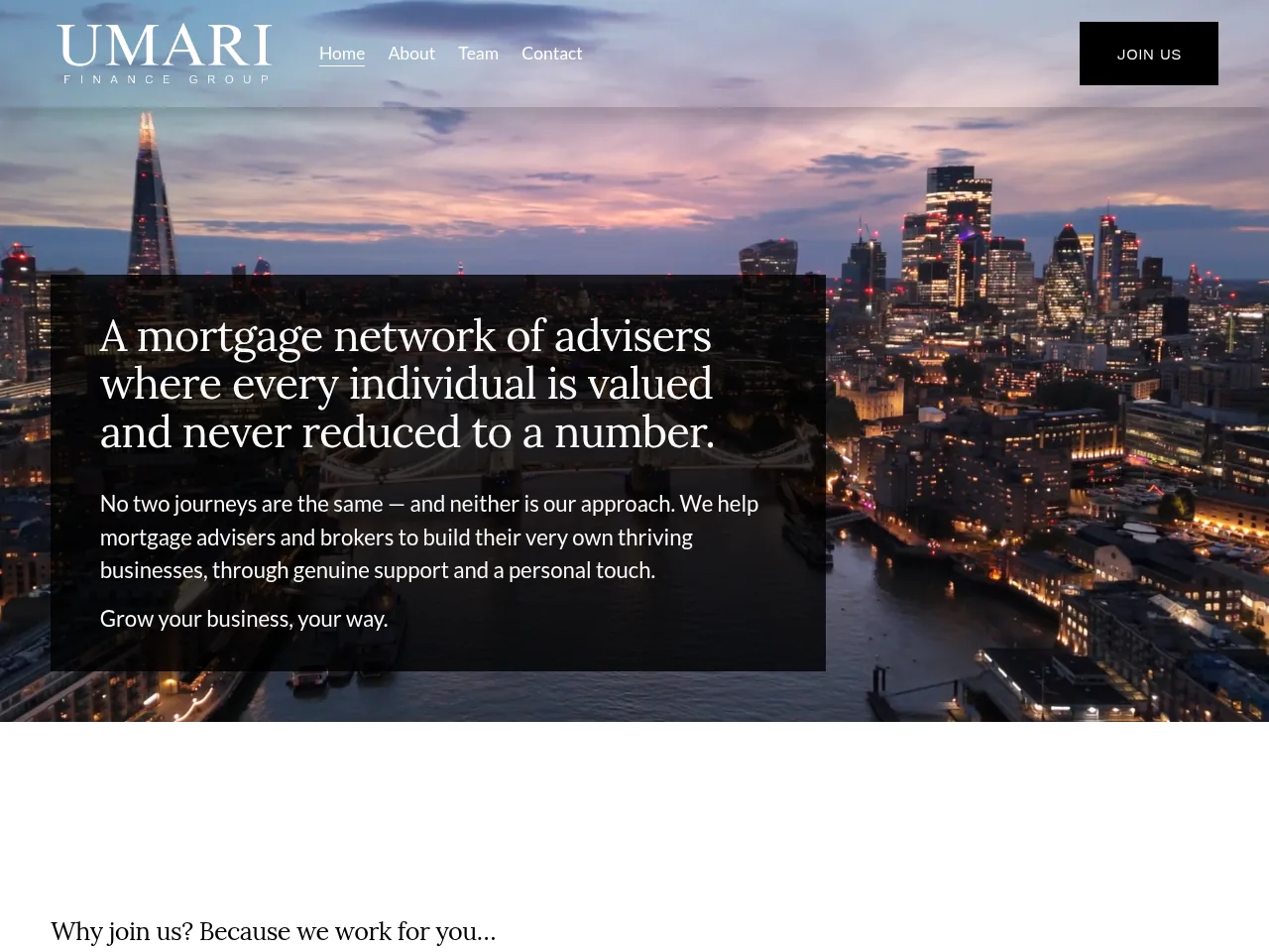 UMARI Finance Group website preview