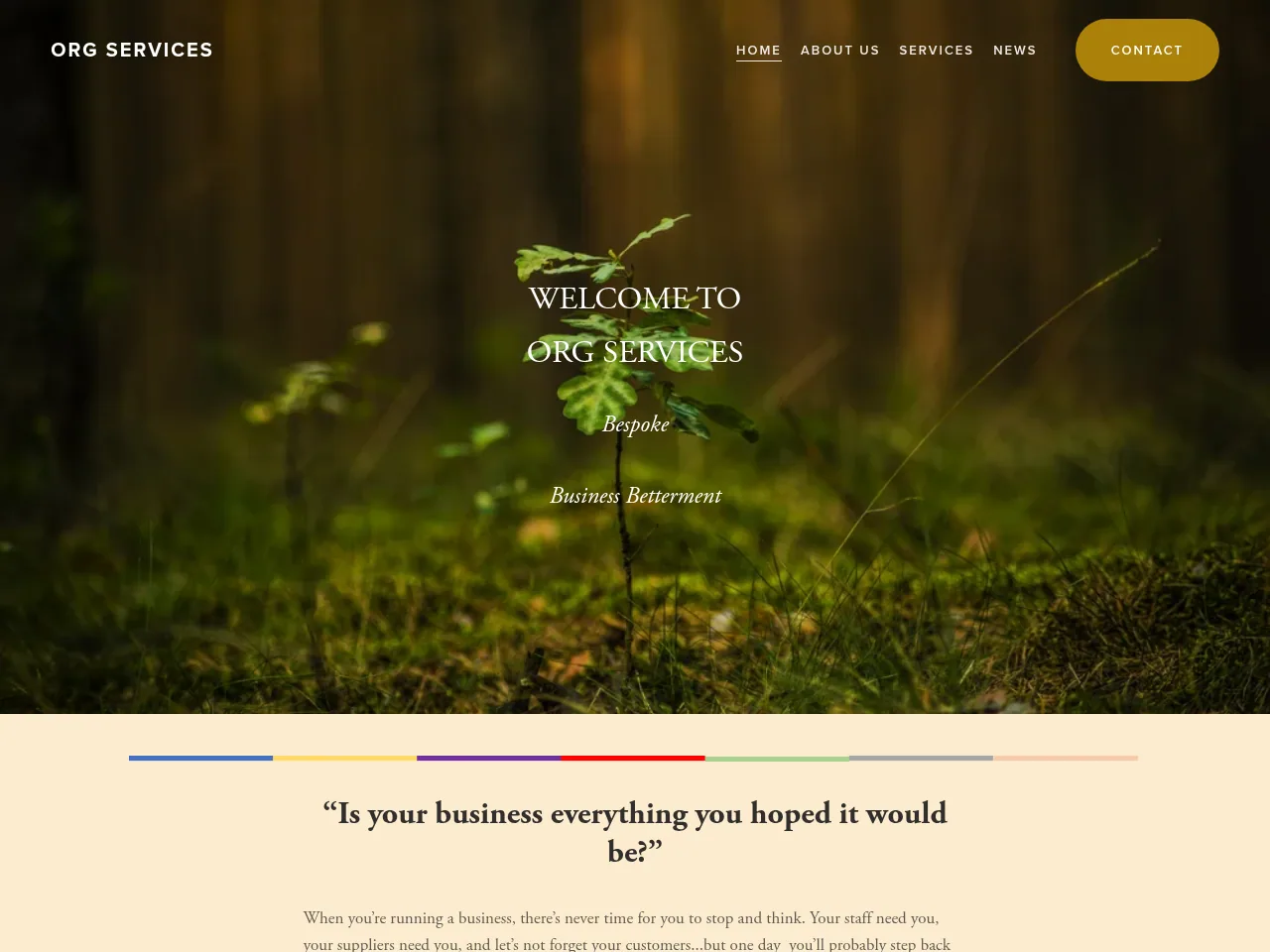 Org Services website preview