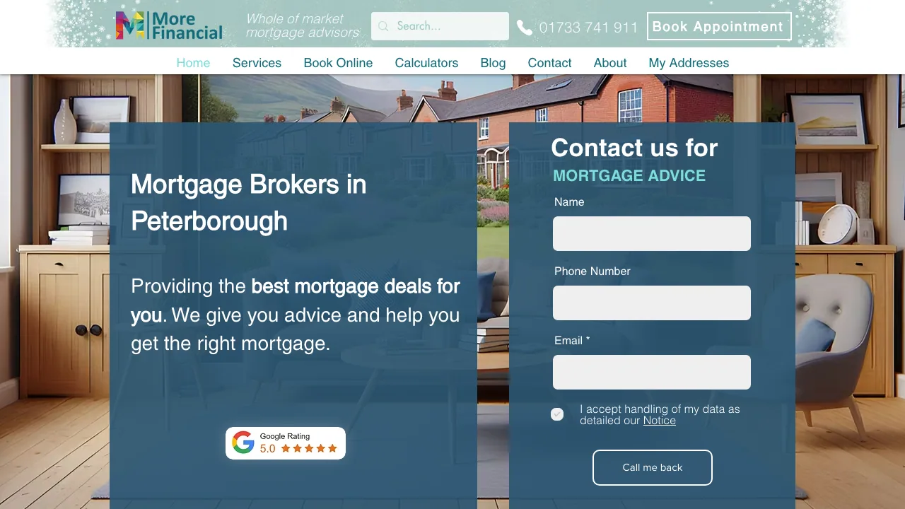 More Financial website preview