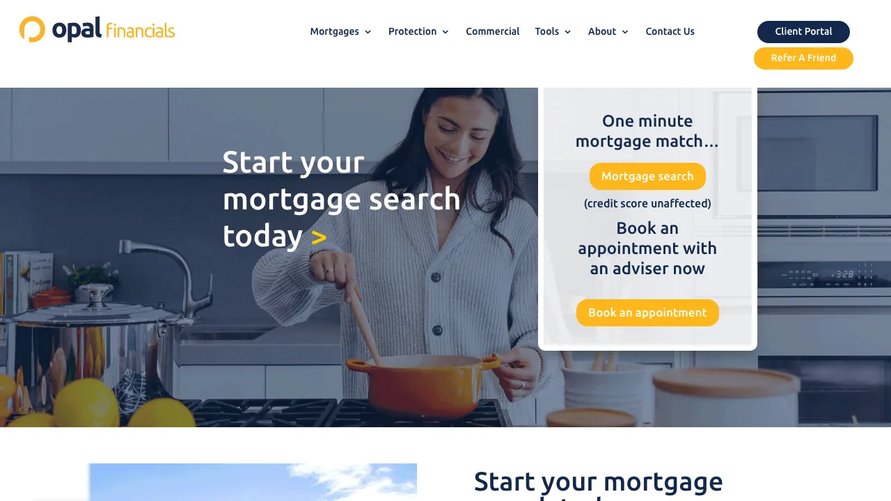 Opal Financials website preview