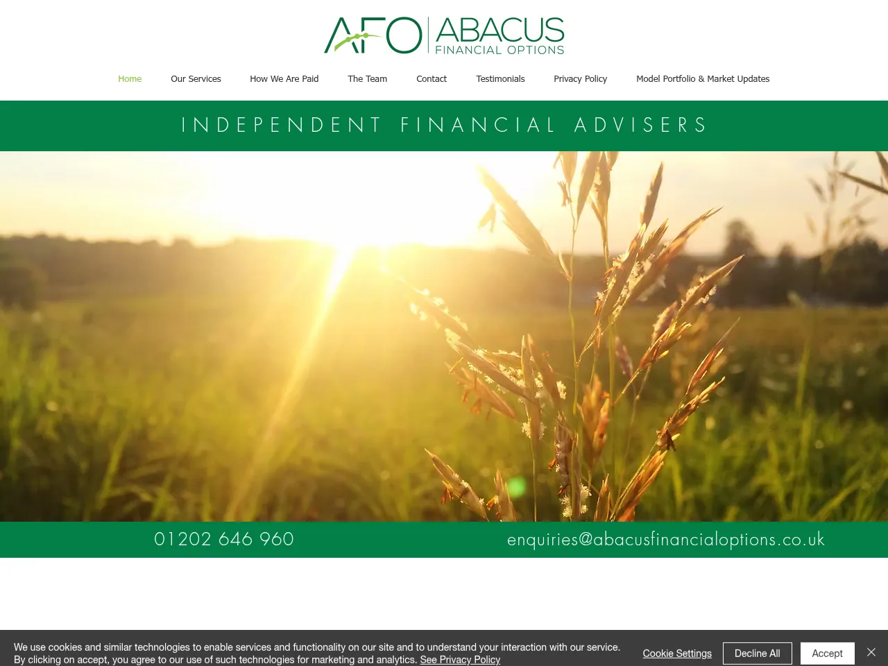Abacus Financial Options website preview